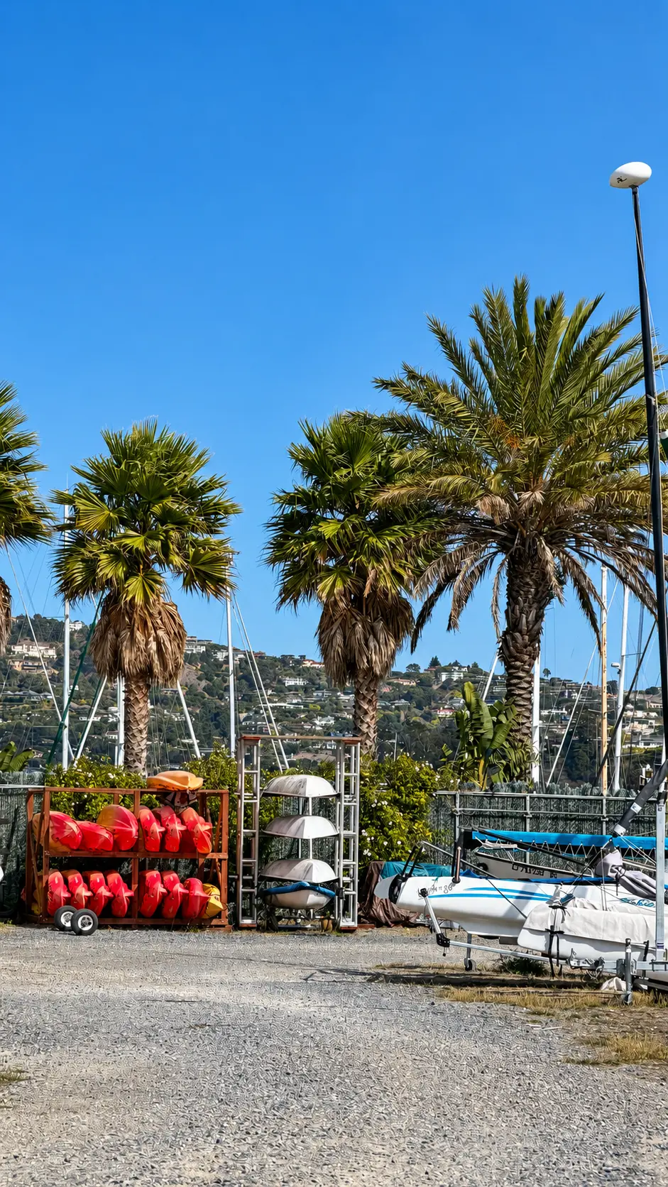 Schoonmaker Point Marina boat yard and palm trees in Sausalito